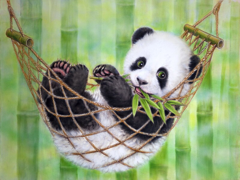 Panda Cub in Hammock