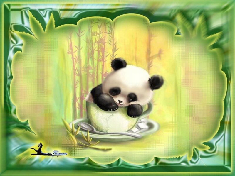 Panda Cub in Teacup