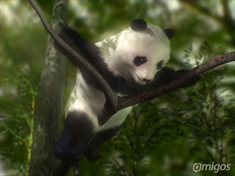 Panda Cub in Tree — Green, Calm, Afternoon