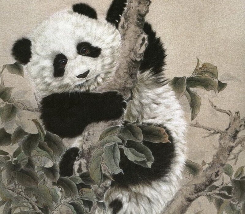 Panda Cub in Tree — White