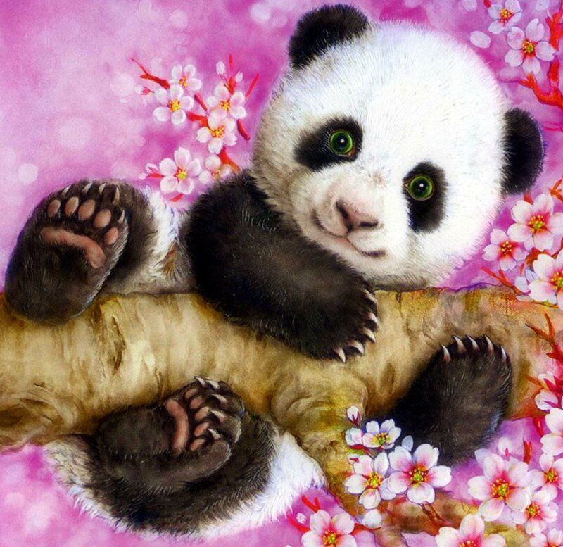 Panda Cub on Branch