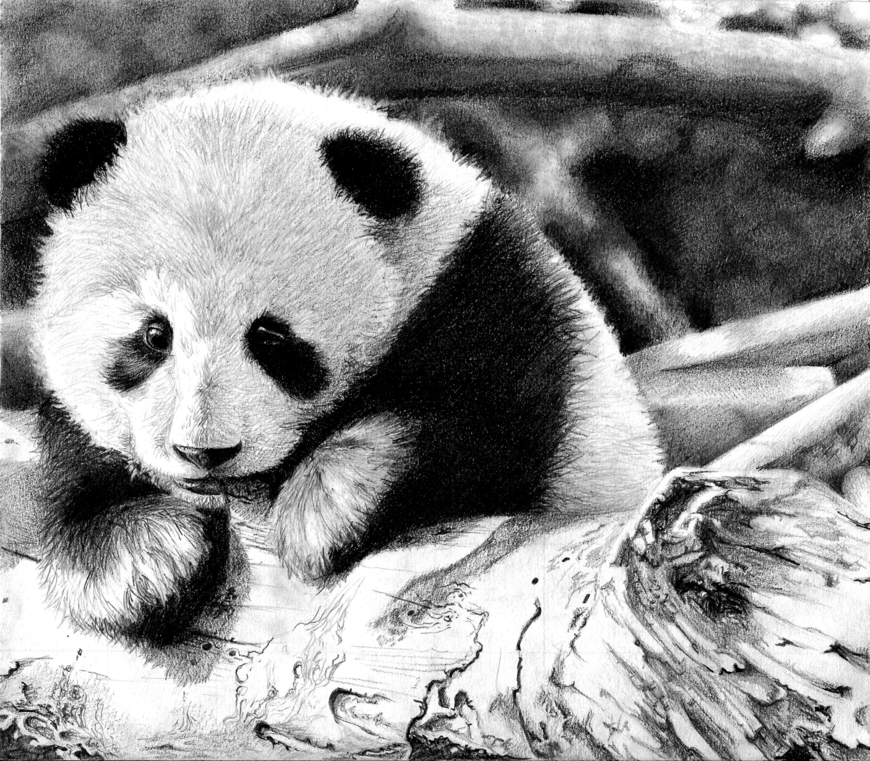 Panda cub on log