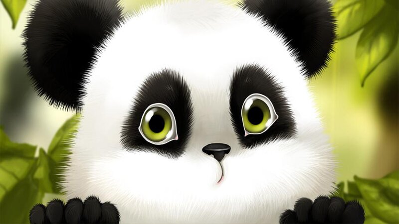 Panda Cub Peeking
