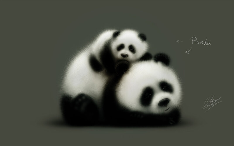 Panda cubs cuddling