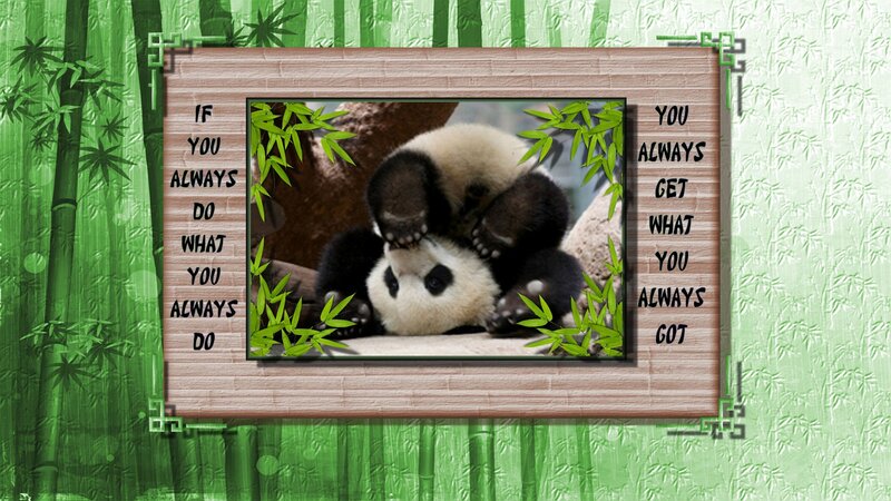 Panda Cubs Playing — Green