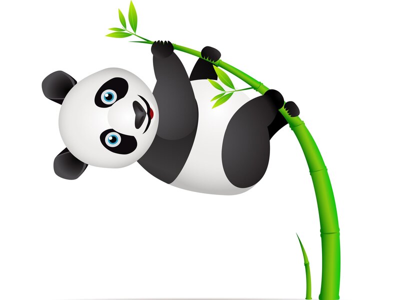 Panda Eating Bamboo — Black, Playful