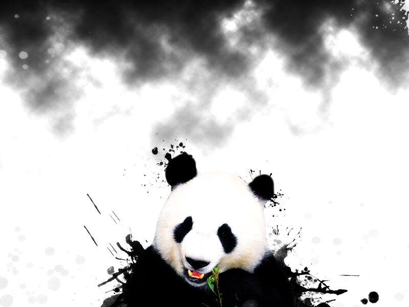 Panda Eating Bamboo — Black