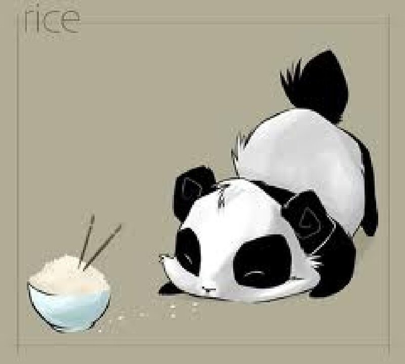 Panda Eating Rice