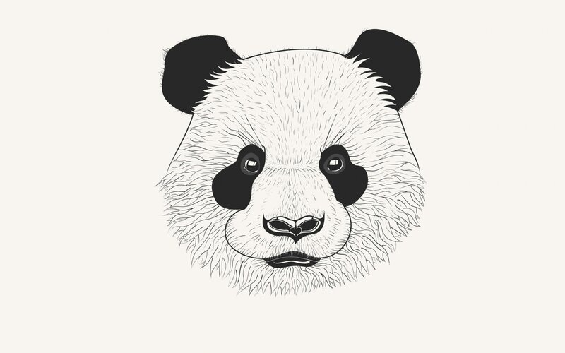 panda face illustration