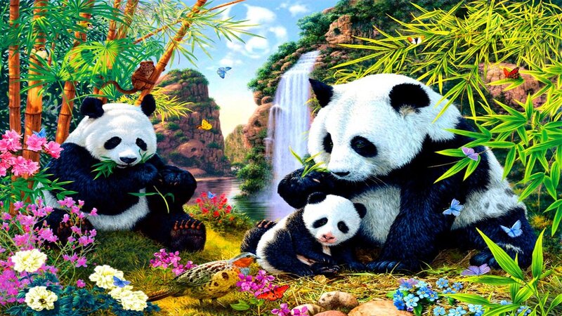 Panda Family in Forest