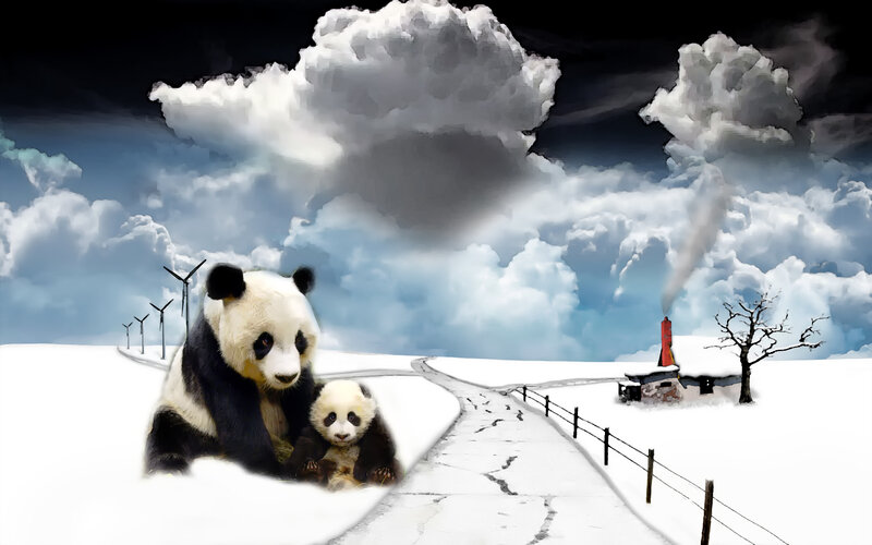 Panda family in snowy landscape