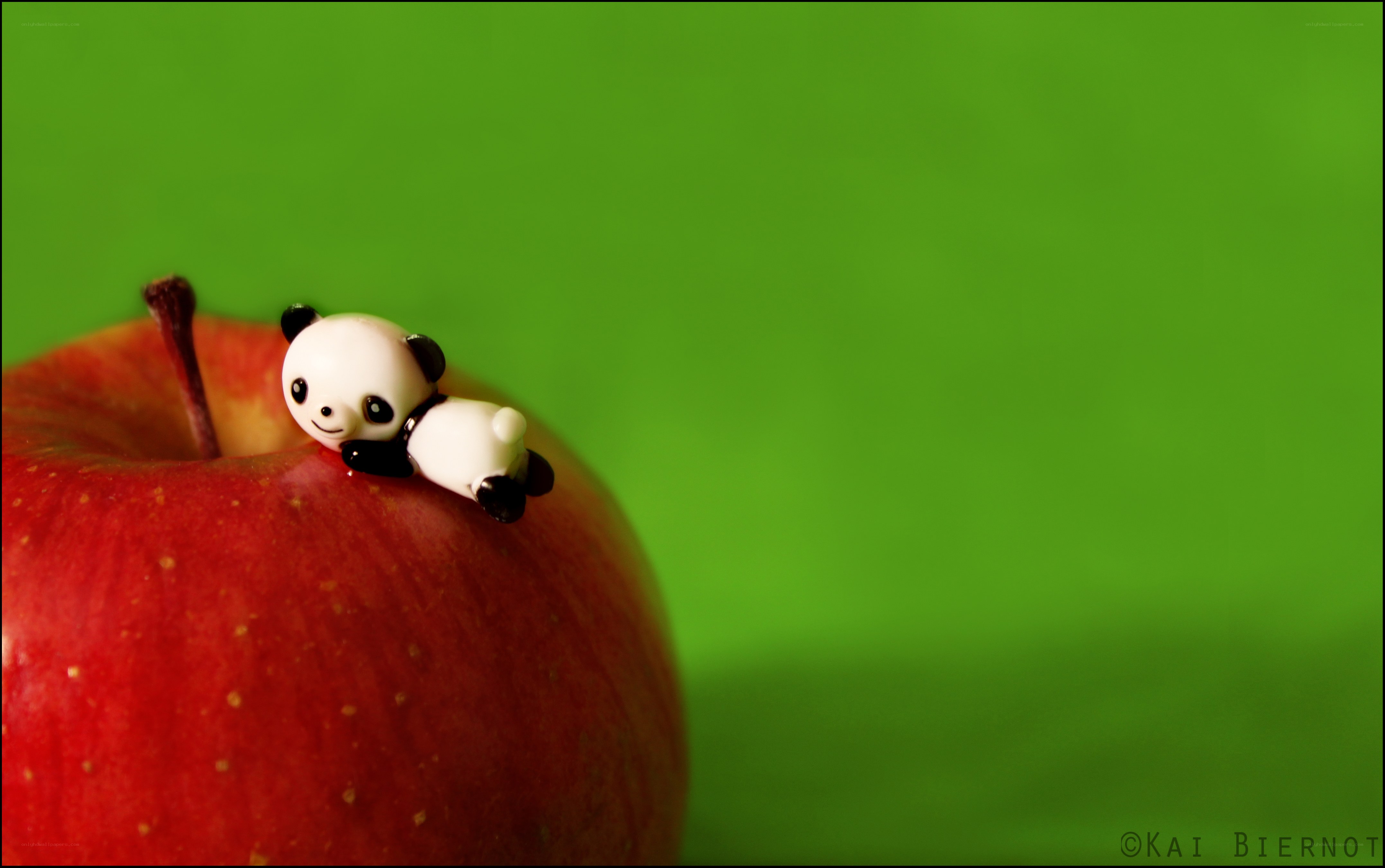 Panda figurine on red apple