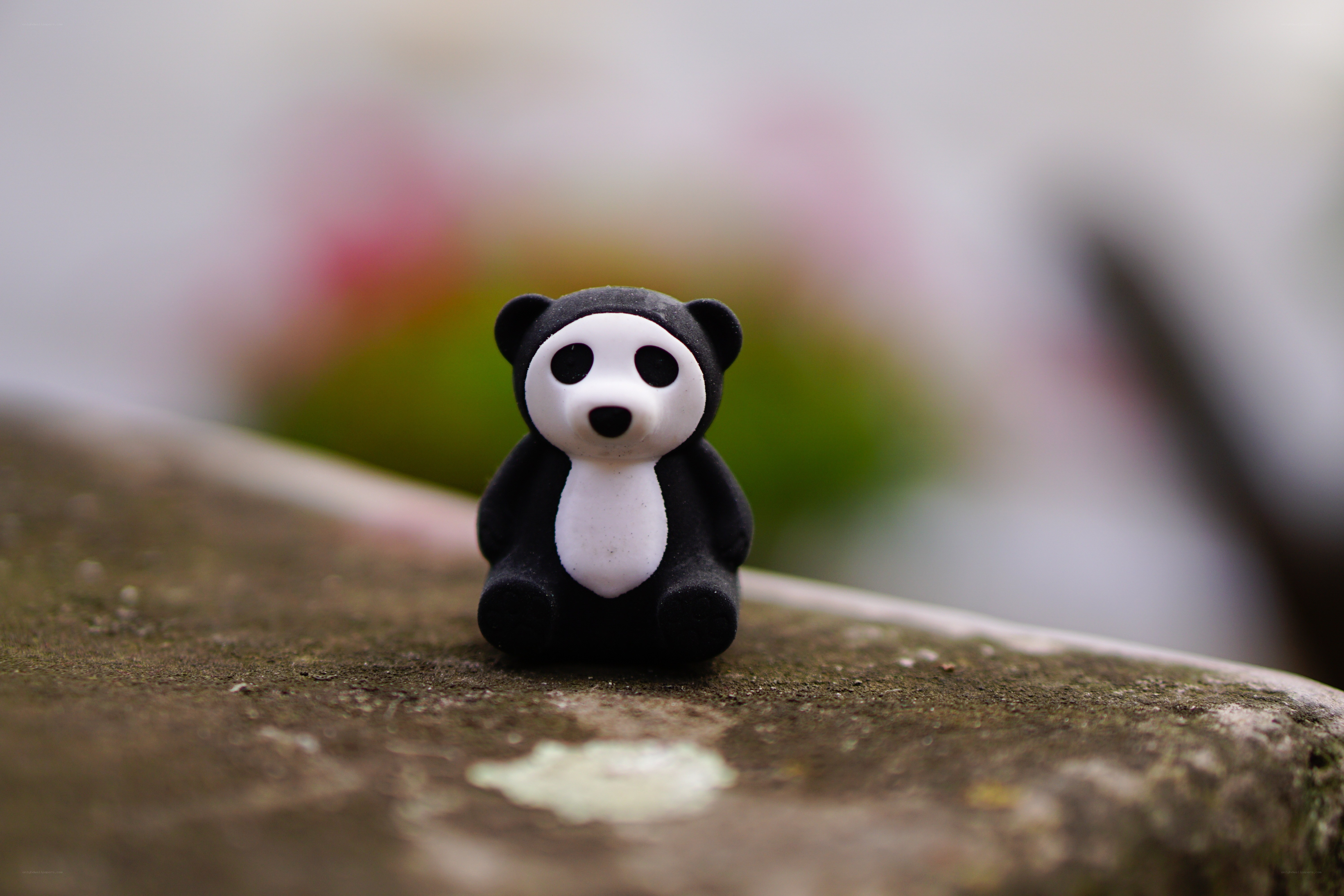 Panda figurine on stone