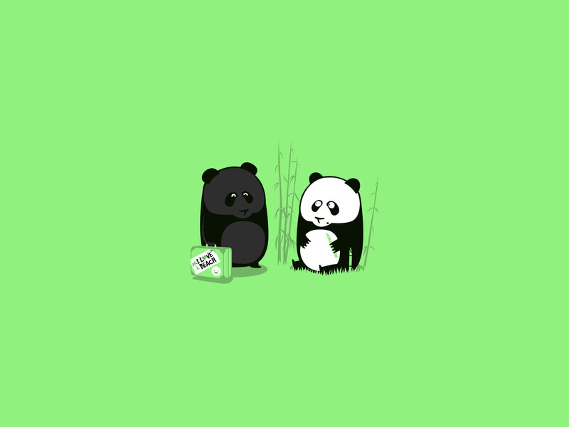 Panda friends with beach box