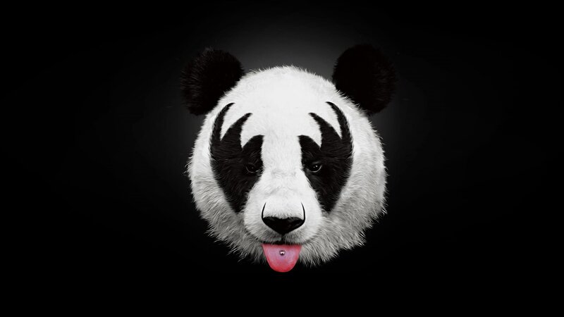 Panda Head