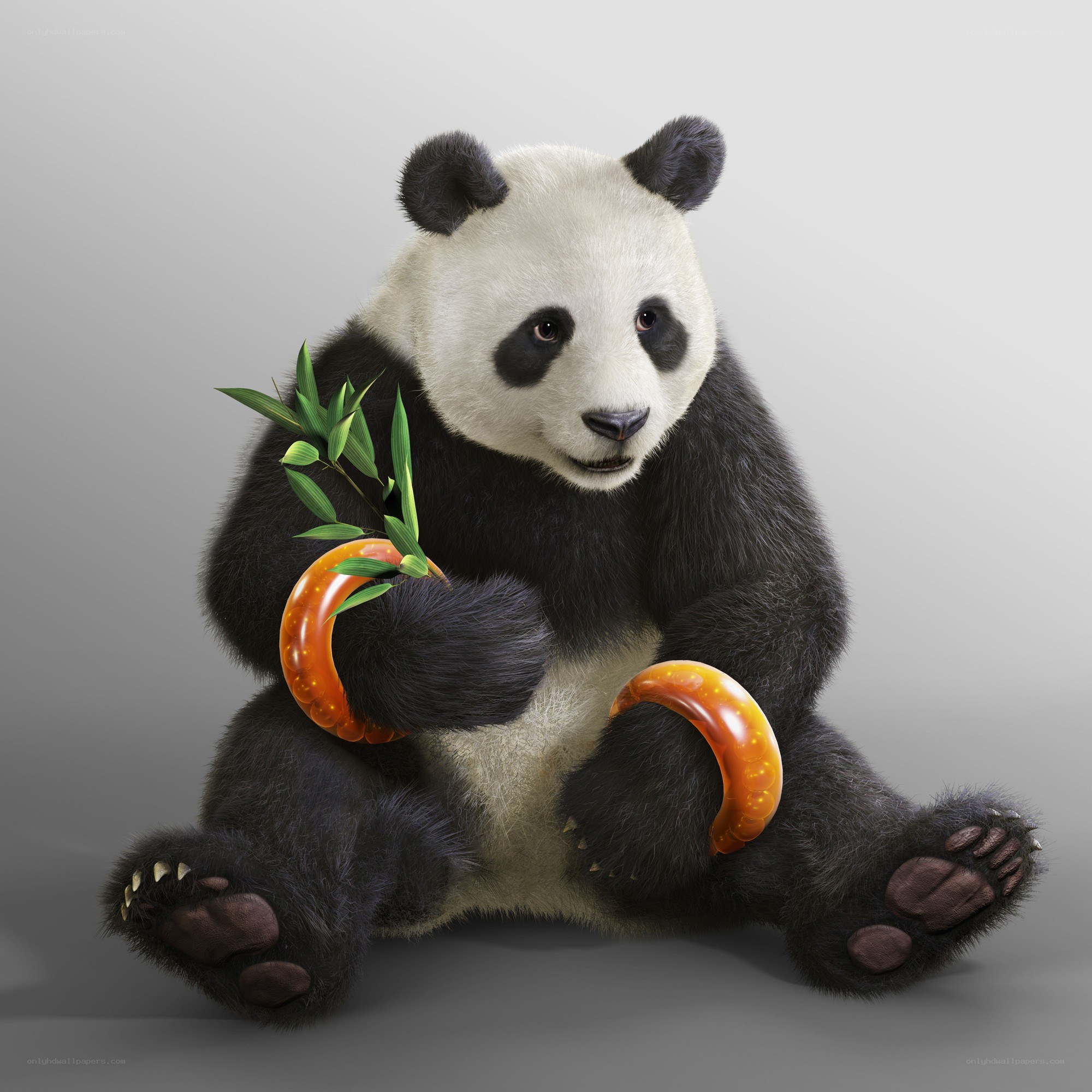 Panda holding bamboo
