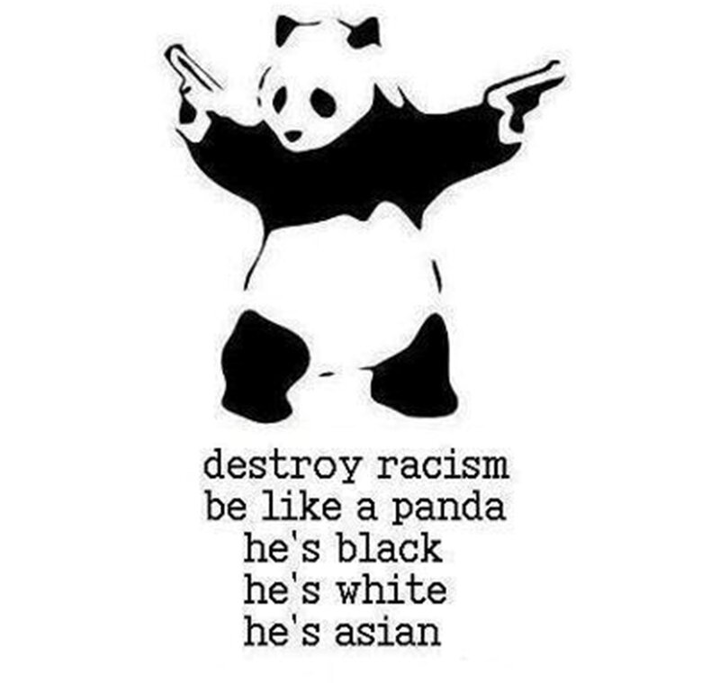 Panda Holding Guns