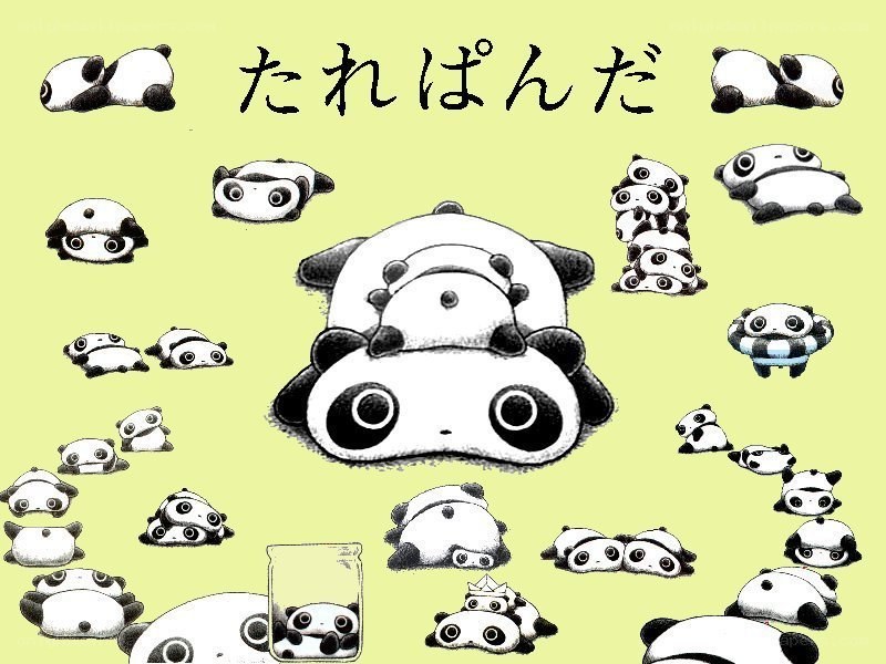 Panda illustration with text