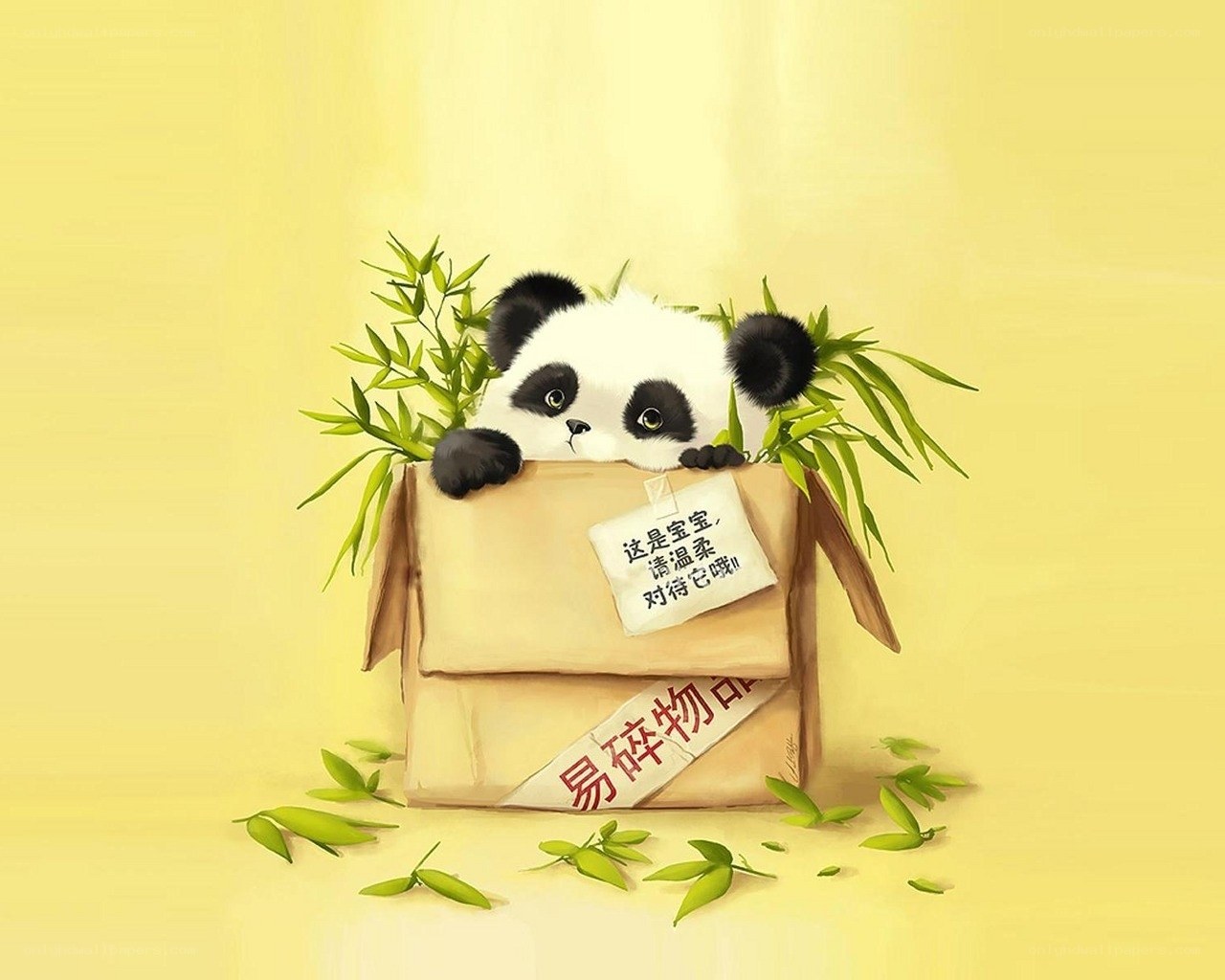 Panda in a box with bamboo