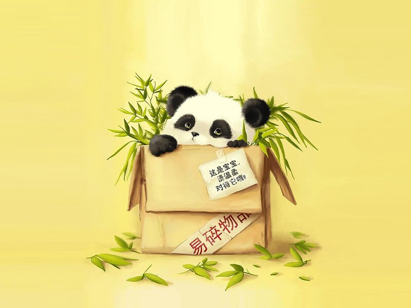 Panda in a box with bamboo