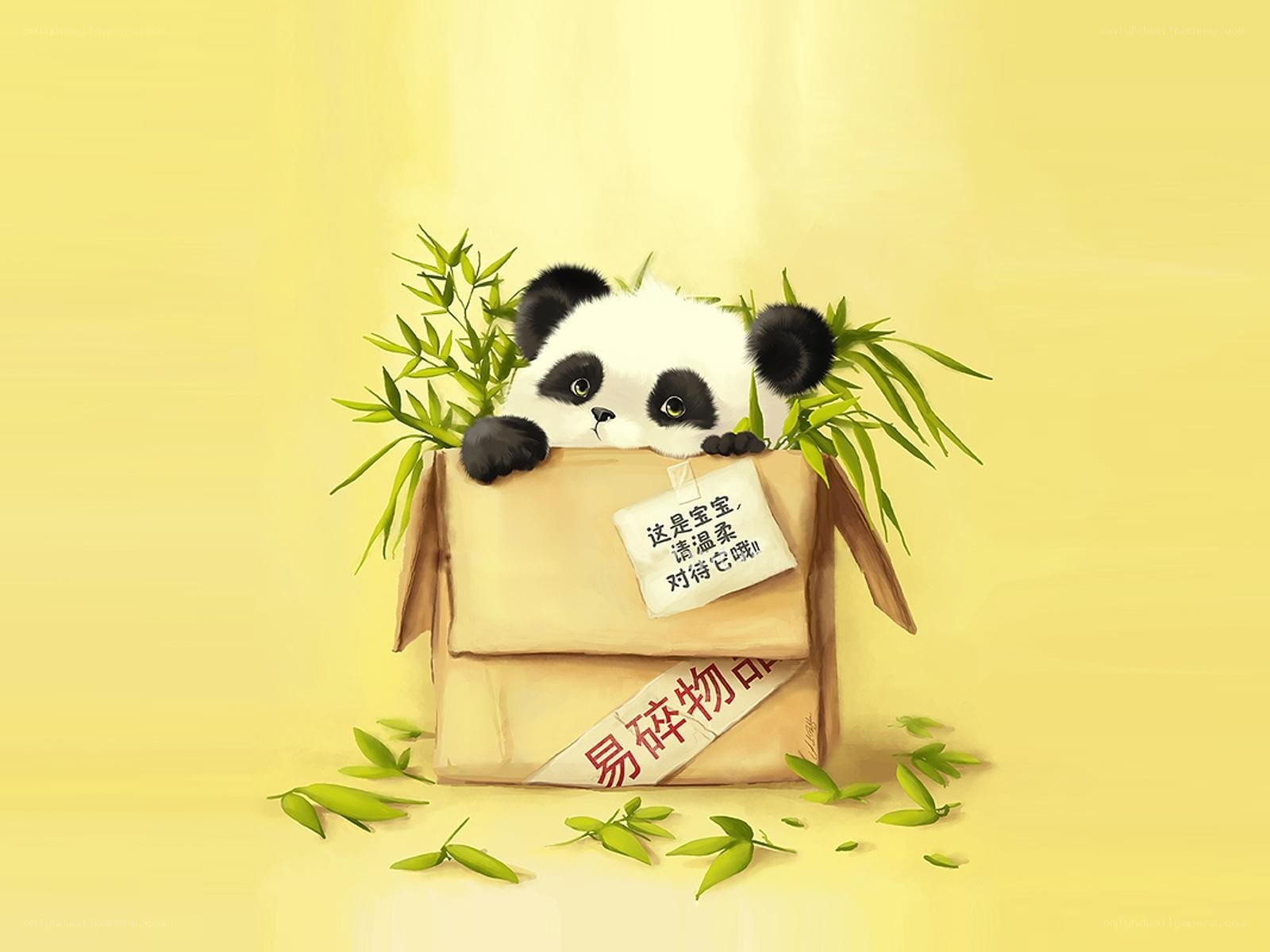 Panda in a box with bamboo