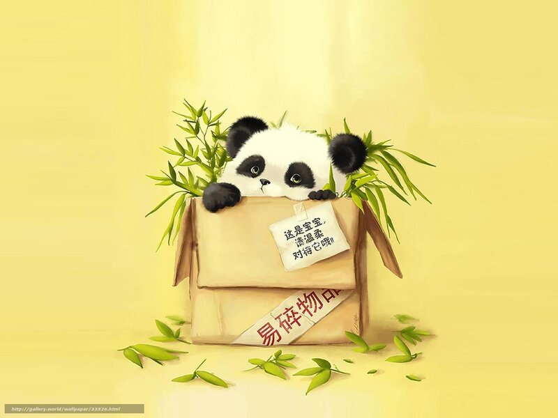 Panda in a box with bamboo