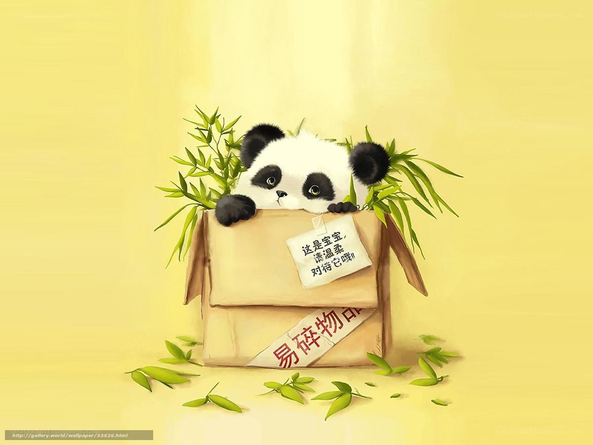 Panda in a box with bamboo
