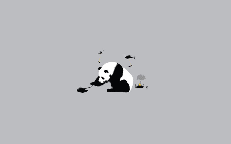 Panda in a war zone