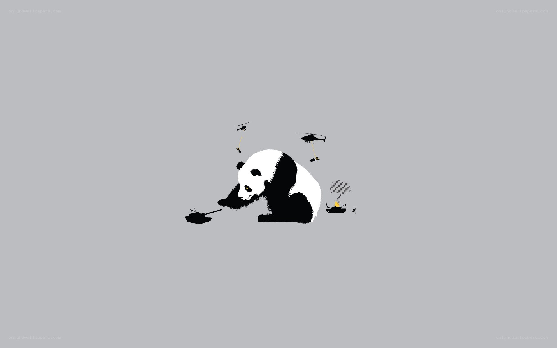 Panda in a war zone