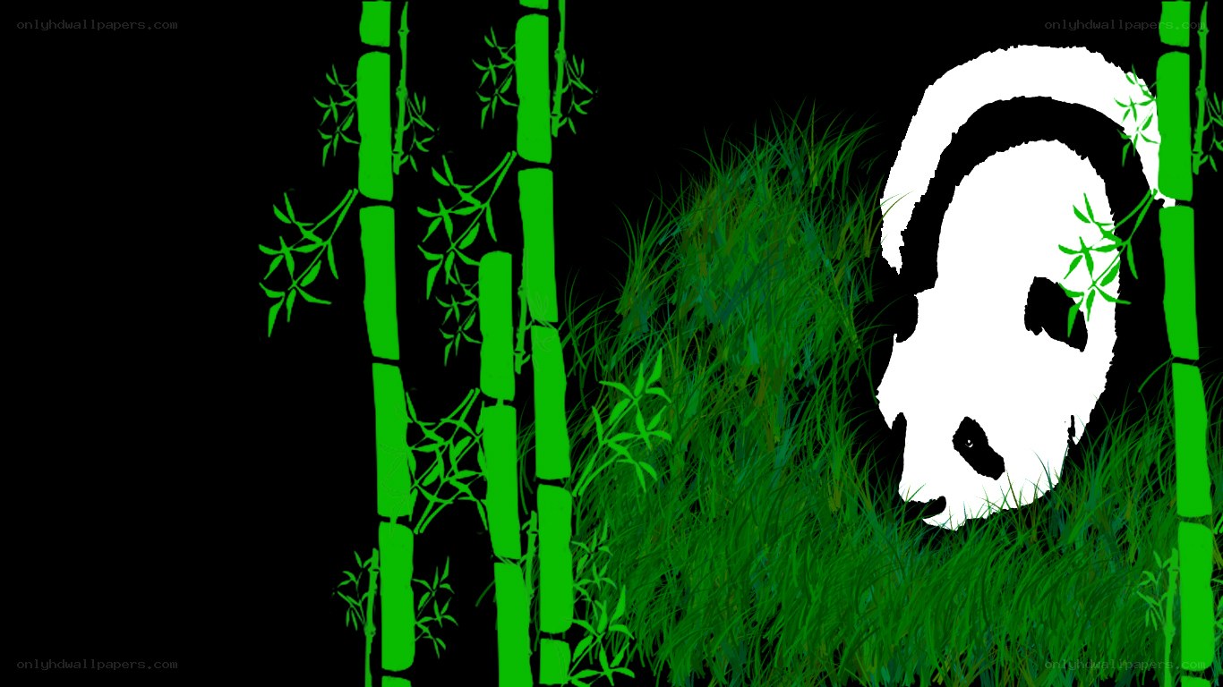 Panda in bamboo forest