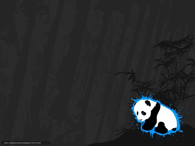 panda in bamboo forest