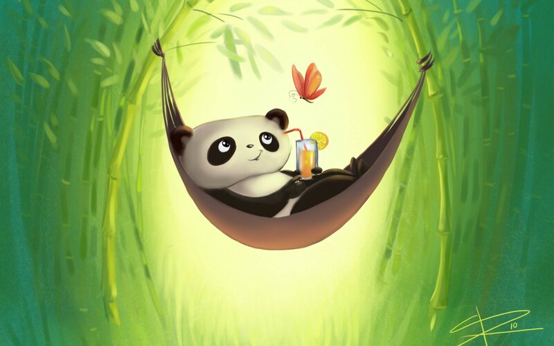 Panda in Hammock