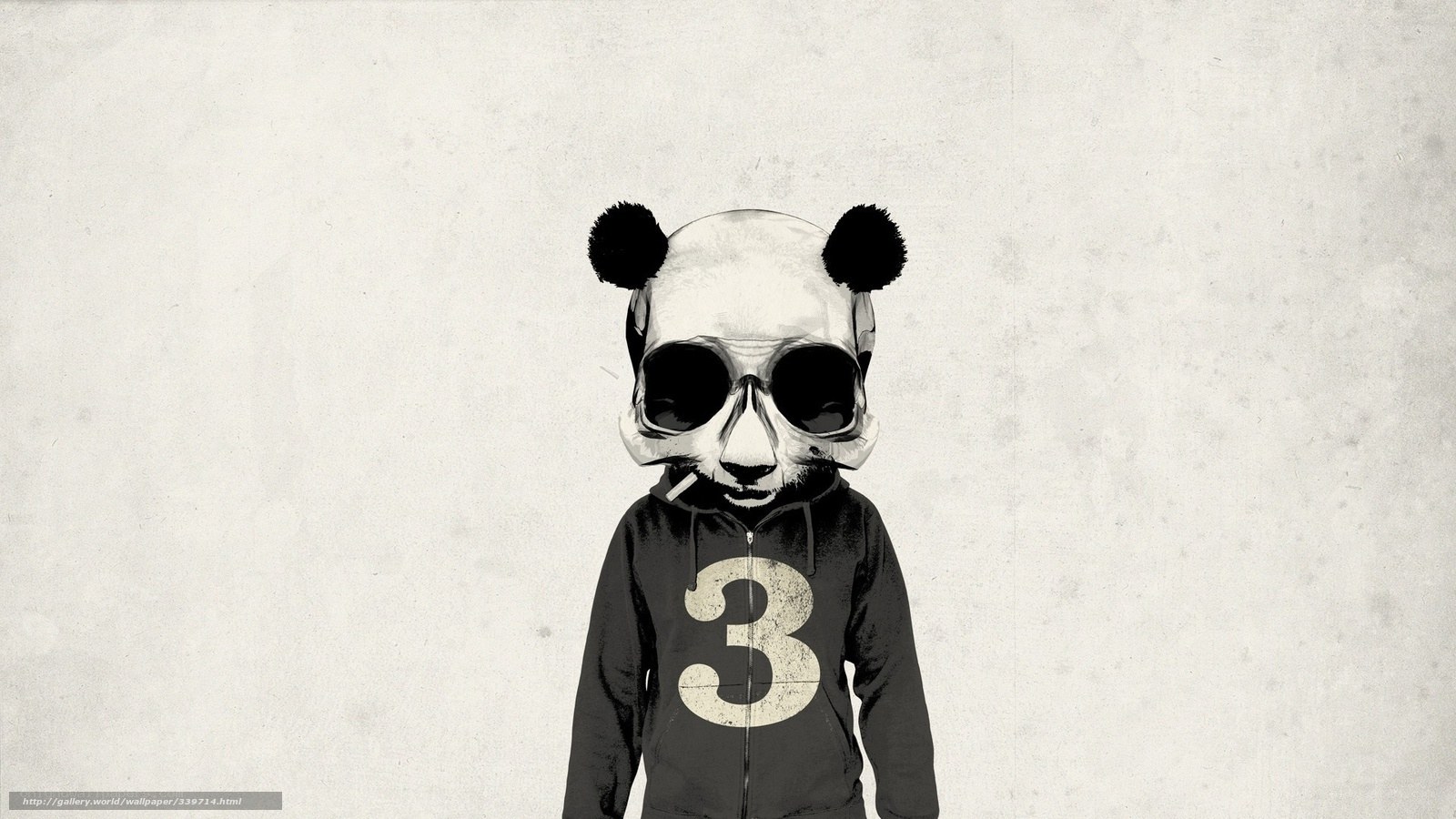 Panda in hoodie with sunglasses