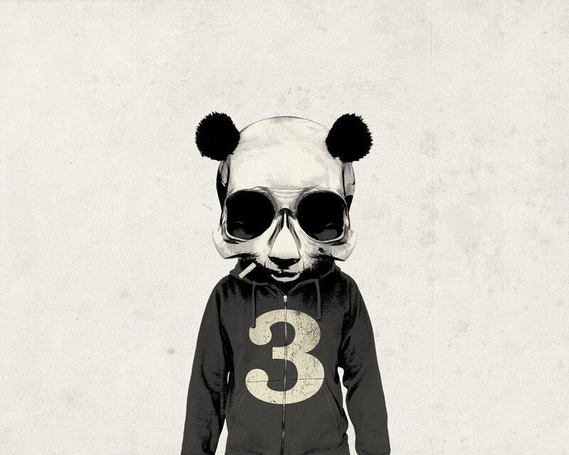 panda in hoodie with sunglasses