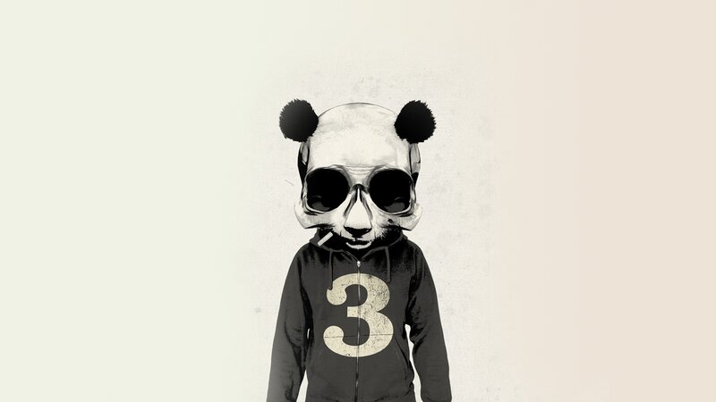 panda in hoodie with sunglasses