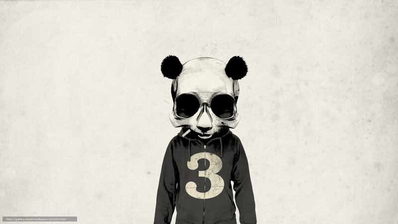 Panda in hoodie with sunglasses