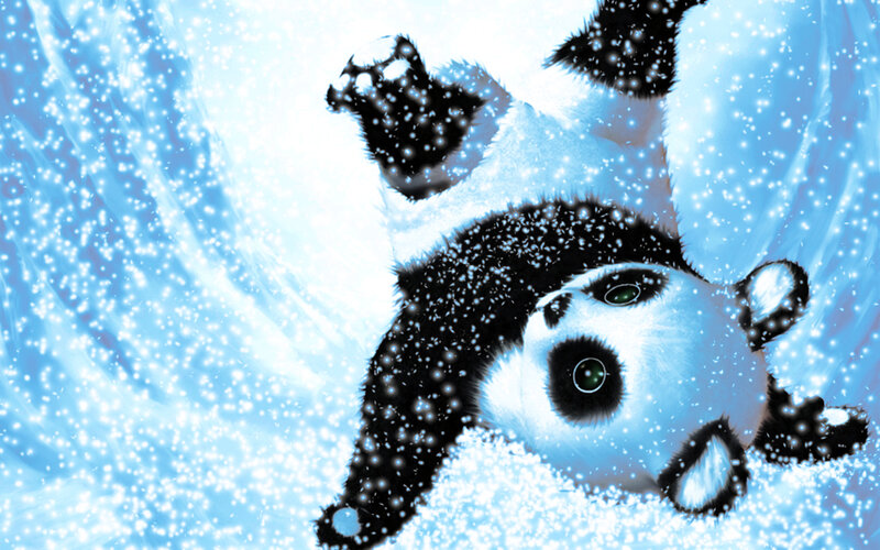 panda in snowfall
