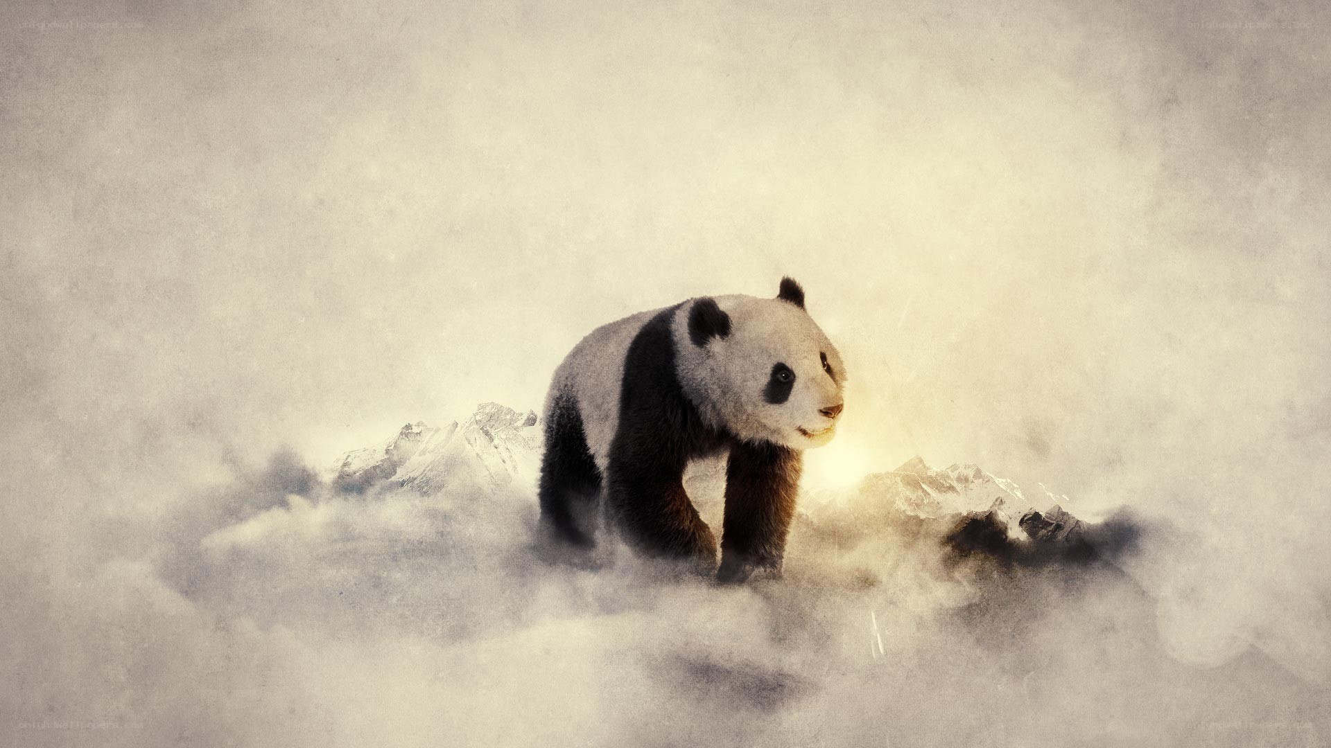 Panda in the clouds