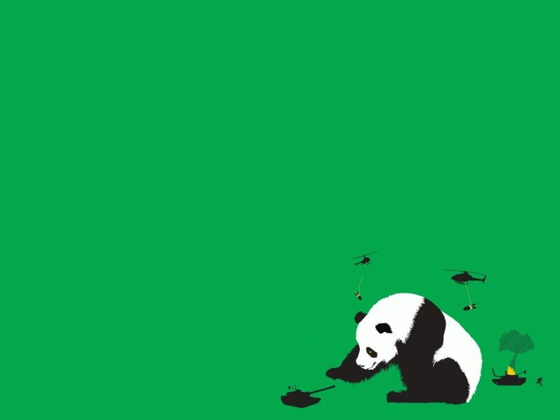 Panda in war zone