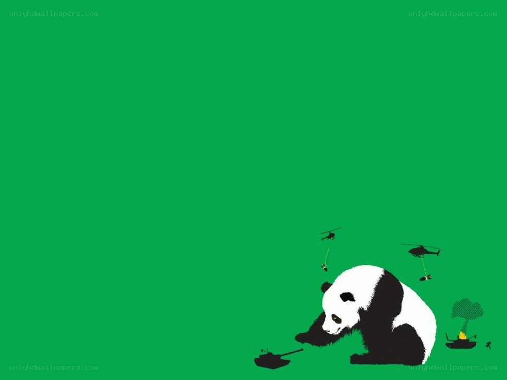 Panda in war zone