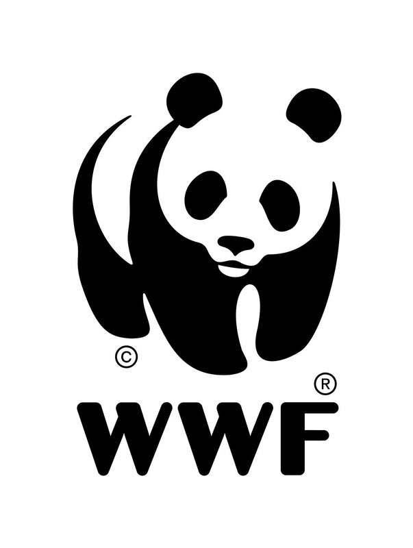Panda Logo