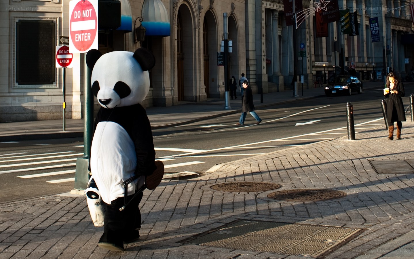Panda mascot on city street