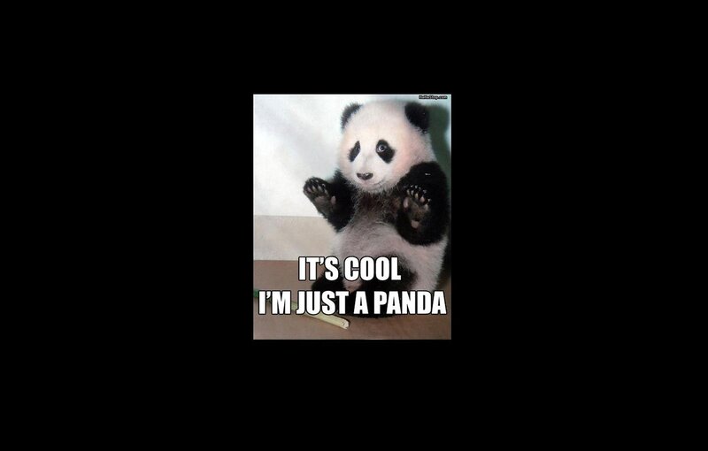 panda meme with text