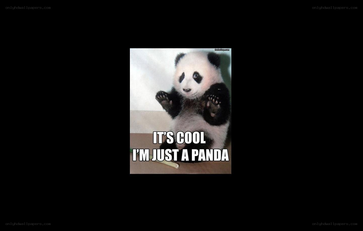panda meme with text