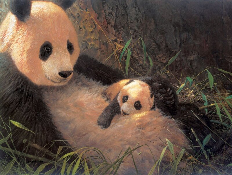Panda Mother and Cub — Black, Serene
