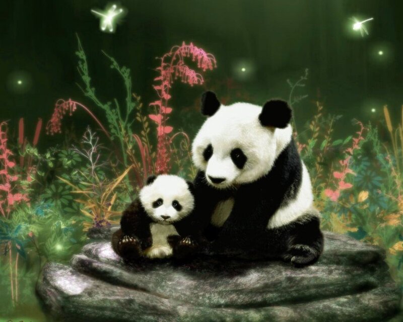 Panda Mother and Cub — Green, Serene, Night