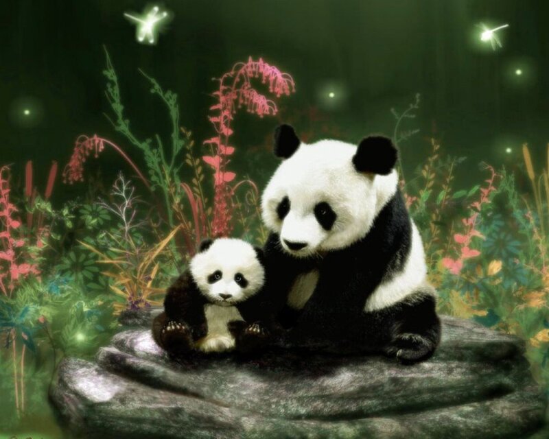 Panda mother and cub in forest