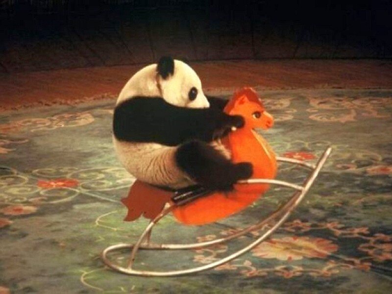 panda on a rocking horse