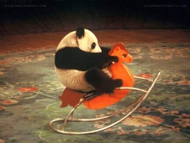 panda on a rocking horse