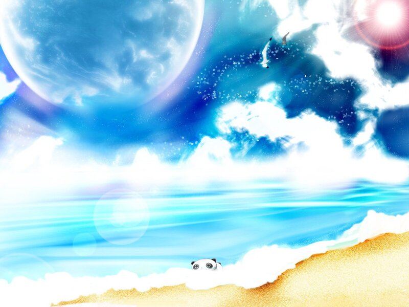 Panda on Beach